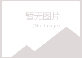 玛曲县蓝天工程有限公司